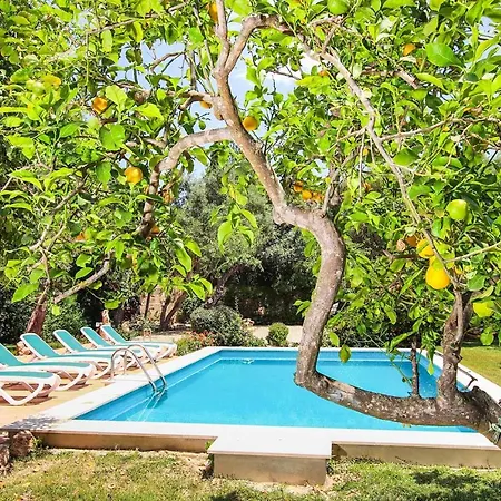Villa Punxa
